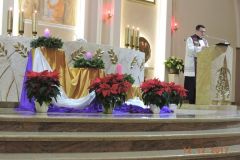 tn_DSCN2377