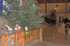 tn_DSCN3282