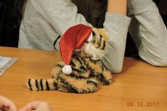 tn_DSCN2272