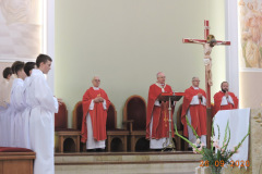 DSCN8486