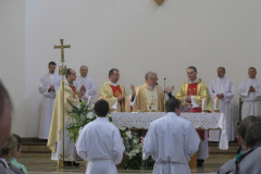 BC-3.06.2010-019