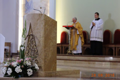 Zdj-2