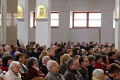 Zdj-16