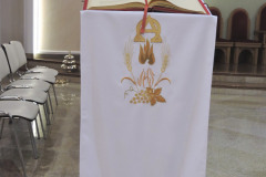 DSCN8552