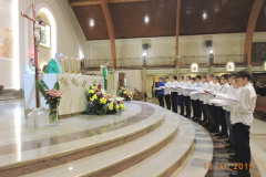 DSCN8724