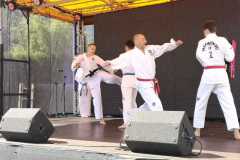 ZParafiada-5