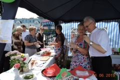Zdj-10