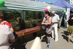 IMG_20220612_101334