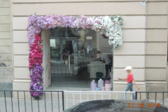 DSCN7571
