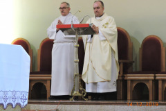 zdj-14